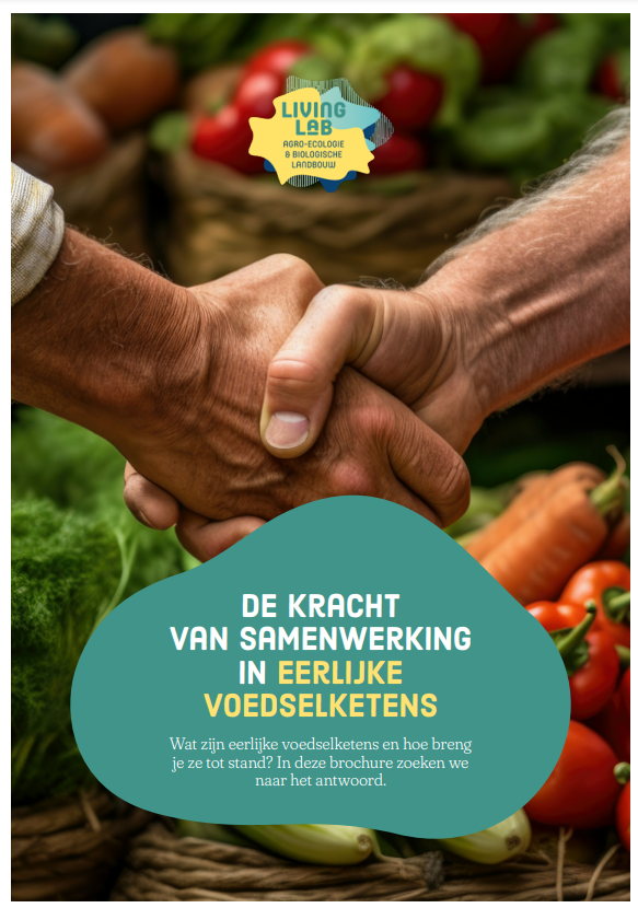 cover brochure - DE KRACHT VAN SAMENWERKING IN EERLIJKE VOEDSELKETENS