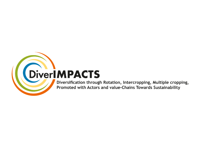 logo diverimpacts