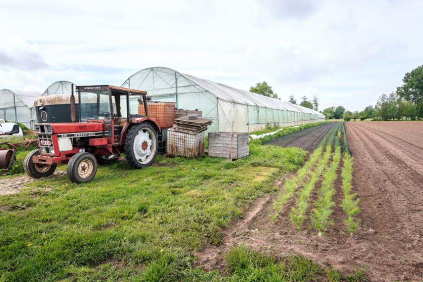 tractor en serre