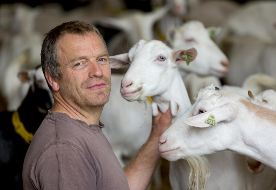 portret Renaat devreese