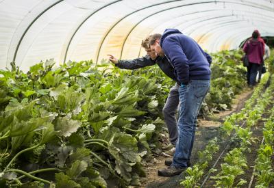 consulent geeft advies aan boer