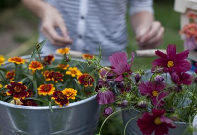 bloemen