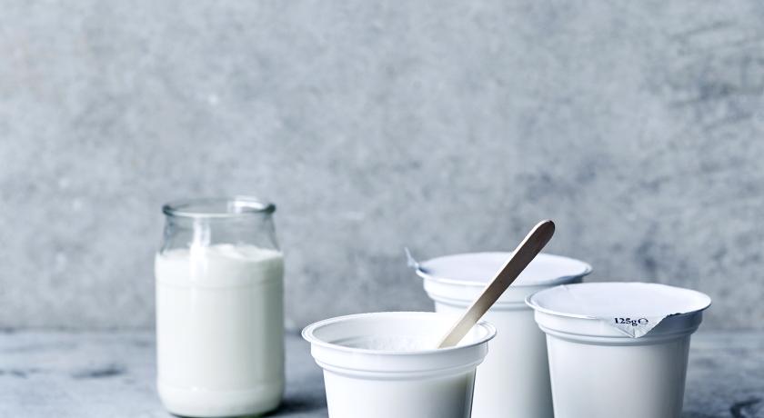 yoghurt