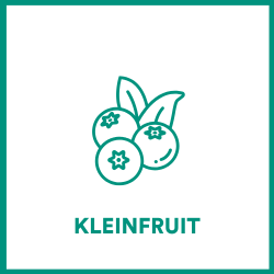 Kleinfruit