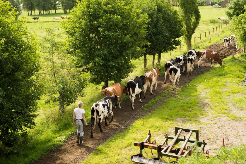 Biologische veehouderij
