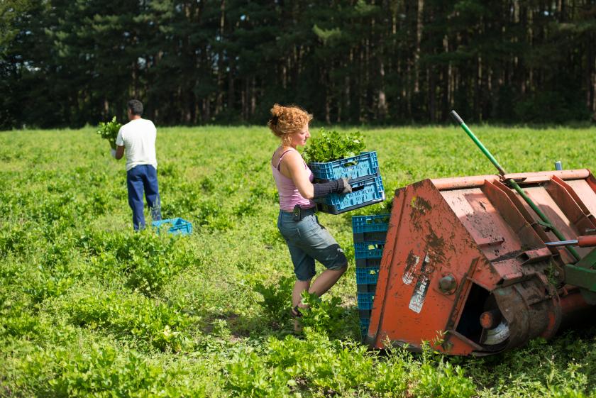 boerin in veld