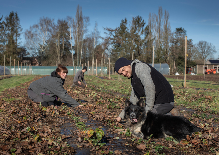 bioboeren in veld