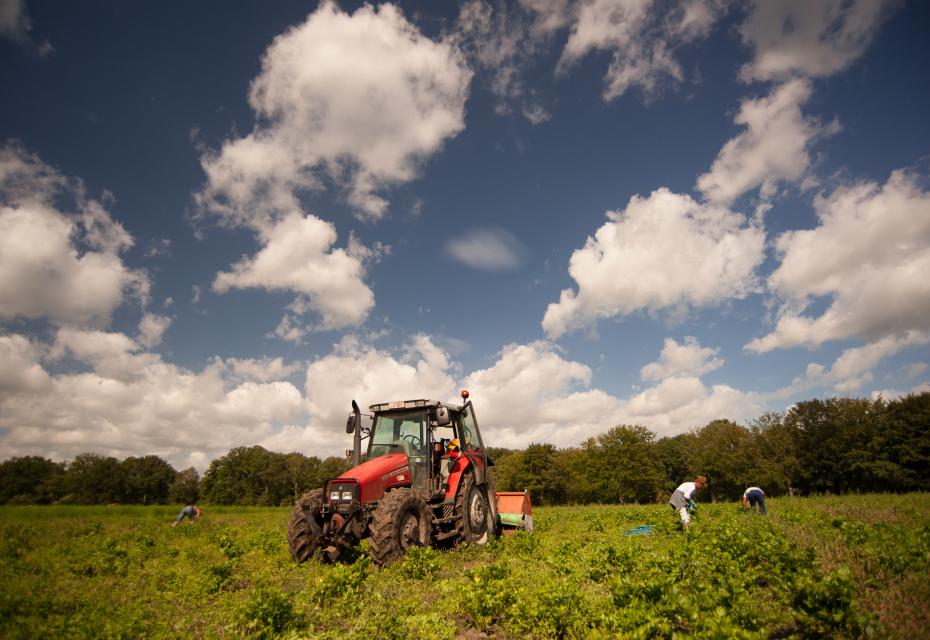 tractor