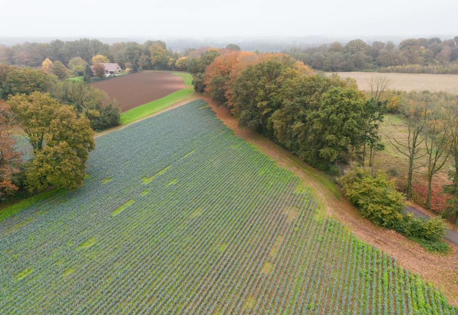 luchtfoto veld