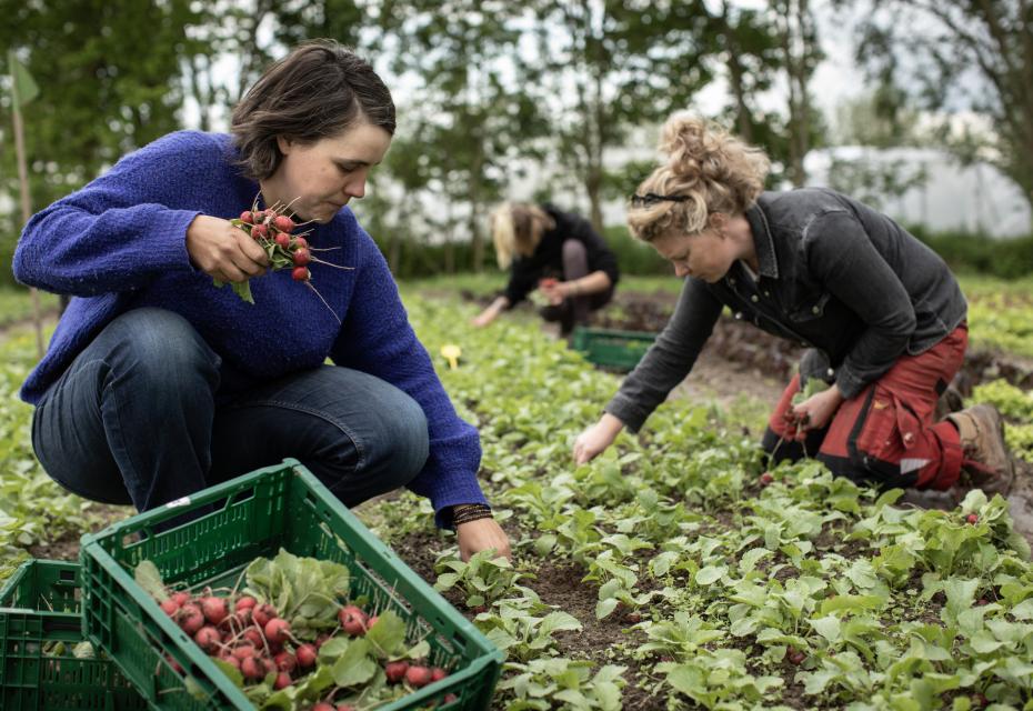 samenwerking