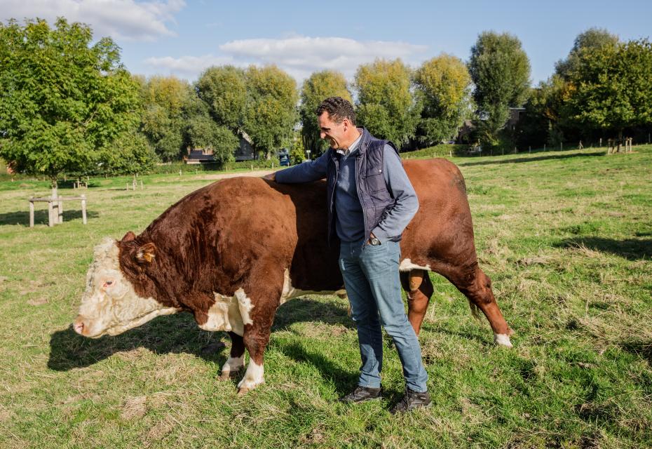 boer met koe