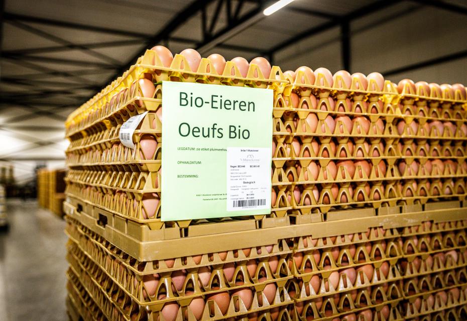 bio eitjes