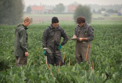 onderzoek