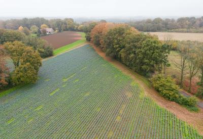 luchtfoto veld
